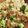 seacomet's cooksnap of when they made ガーリックペッパーライス.