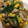 snow012's cooksnap of when they made 超簡単☆ニラとちくわのマヨ炒め.