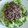 kanabella's cooksnap of when they made 細切りレタスのタイ風サラダ.