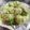 クックLJ2W4Q☆'s cooksnap of when they made きゃべつ焼売.