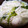 サバ先生's cooksnap of when they made 白菜とつみれの春雨スープ.