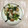 クックY76W48☆'s cooksnap of when they made 簡単おかず！小松菜と竹輪の中華風炒め.