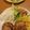 クックHD9DCP☆'s cooksnap of when they made 簡単！パン粉なしでも大丈夫！ハンバーグ！.
