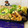 runa10's cooksnap of when they made えびと白ねぎのいためもの.