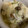 pigmo's cooksnap of when they made 豆腐ときのこのアヒージョ.