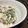 rumsoda's cooksnap of when they made 旨い！大根葉とおからのシーチキンサラダ.
