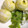 ハント☆'s cooksnap of when they made 簡単☆ピーラーで栗の皮むき.
