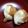 nany44's cooksnap of when they made オーブントースターでチーズちくわ.