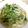ユーロン's cooksnap of when they made 豆苗ともやしの塩うどん.