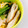 一番星寿美次郎's cooksnap of when they made おひとりさまのちくわで簡単おつまみ⑯.