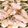 クックHRY7CZ☆'s cooksnap of when they made シイラのガーリックムニエル＊＊.