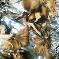 ふぁんたにゃん's cooksnap of when they made 魚焼きグリルで焼くだけ☆焼き舞茸.
