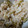 小麦粉【100g】's cooksnap of when they made 大根の皮と葉っぱの混ぜご飯.