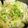 のらむーちょ's cooksnap of when they made ズボラ♪白菜と豚バラ＊ミルフィーユ鍋.