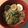 Yokchina's cooksnap of when they made レタスたっぷり塩ラーメン☆.