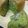クックWOA5U8☆'s cooksnap of when they made 抹茶とあずきの炊飯器ケーキ.