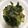 クックCEPM60☆'s cooksnap of when they made 牡蠣と小松菜の醤油バターソテー.