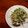 有ちん's cooksnap of when they made ○●豆苗ともやしの塩炒め●○.