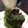 たぬまゆ's cooksnap of when they made レンジで簡単おからパウダー小倉抹茶ケーキ.