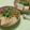 みかかめ's cooksnap of when they made 水菜たっぷり☆肉豆腐.