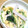 みぃくんのママ's cooksnap of when they made 小松菜とハムと薄焼き卵のサラダ.