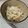ORIHAM's cooksnap of when they made 梅としらすの土鍋炊き込みご飯.