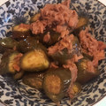 Kopoo1235's cooksnap of when they made ＊大量消費に♡簡単♪ツナと茄子の炒め煮＊.