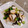 ねずみんパラダイス's cooksnap of when they made 野菜の皮だけ…お漬物.