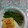 ひトみ's cooksnap of when they made 絹さや（さやえんどう）のバター醤油炒め.