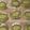 クックWIRTNF☆'s cooksnap of when they made 抹茶のシフォンロール.