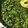 クックOIDHYZ☆'s cooksnap of when they made ご飯のお供に！大根の葉の麻婆風炒め.
