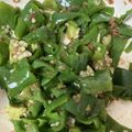うさぎさん⭐️'s cooksnap of when they made レンジで簡単！ピーマンのおかかあえ♪.