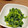 クックW8XK62☆'s cooksnap of when they made 簡単にもう一品　ほうれん草の胡麻和え.