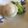 黒めんぼう's cooksnap of when they made 超簡単　小かぶの千枚漬　(作り置き).