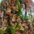 mitoyarin's cooksnap of when they made たけのこいらず！なんちゃって青椒肉絲！.