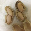 yamami100's cooksnap of when they made 生落花生(ピーナッツ)の茹でかた.