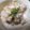 りー君グランマ's cooksnap of when they made ☆簡単生おからサラダ☆.