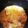 ♬あじさいのレシピ♬'s cooksnap of when they made 圧力鍋でやわらか親子丼.