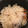 synkkmam's cooksnap of when they made れんこんの下処理～アク抜き・色止め～.