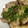 クック78R779☆'s cooksnap of when they made レンジで簡単蒸し鶏と激旨ネギだれソース.