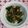 いちご＆大福's cooksnap of when they made 俺流！即席…大葉好きな胡瓜のかおり漬け.