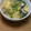 みぃくんのママ's cooksnap of when they made 簡単スープ☆椎茸と豆腐とニラの中華スープ.