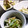 どらど～ら's cooksnap of when they made エリンギ・えのき茸のめかぶ和え.