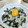 クックJBUYJV☆'s cooksnap of when they made 釜揚げしらす丼.