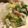くろぷっちー's cooksnap of when they made 白菜の甘酢漬け.
