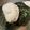 ☆☆子's cooksnap of when they made おにぎり（から揚げ）.
