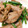 ★ぴよぴよ501★'s cooksnap of when they made 豚トロとにんにくの芽のオイスター炒め.