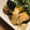 にじゆめa's cooksnap of when they made かぼちゃと厚揚げの甘辛炒め.