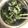 クックZ8J4H4☆'s cooksnap of when they made きゅうりとカニカマの酢の物.