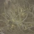ma___111's cooksnap of when they made もやしのピリ辛かきたまスープ.